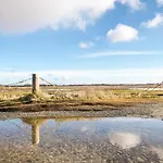 Friesen-nest-spo * Böhl