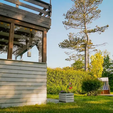 Daire Friesen-nest-spo