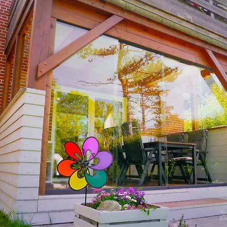 Daire Friesen-nest-spo