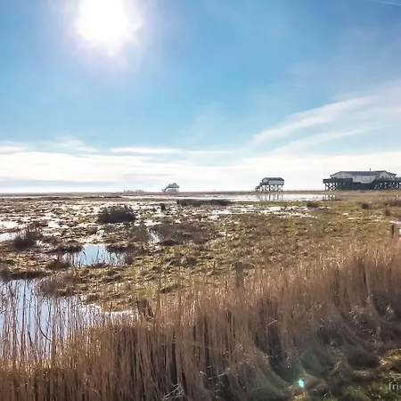 Daire Friesen-nest-spo *